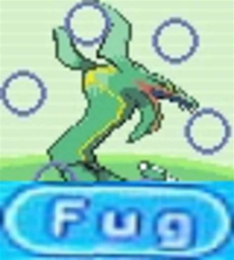 fug rayquaza|rayquaza meme.